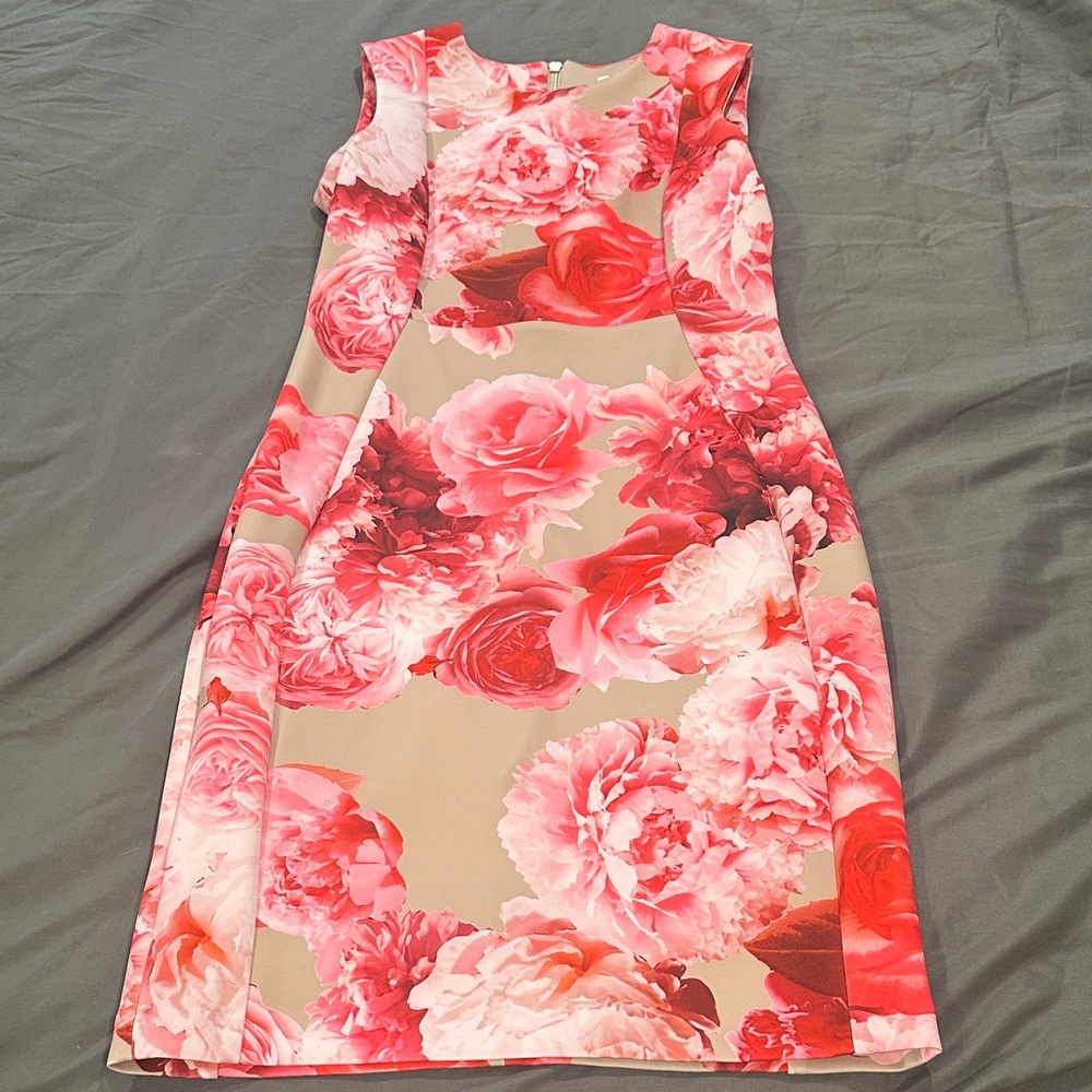 Calvin Klein Collection Floral Midi Dress - Pink and Cream